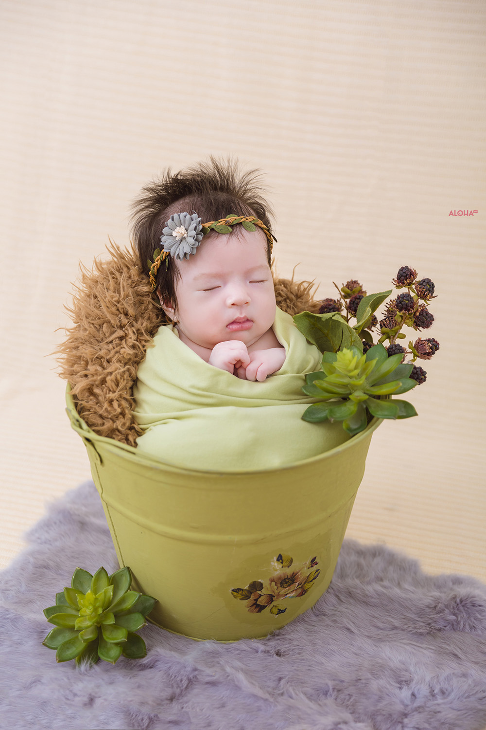 Album ảnh newborn 5